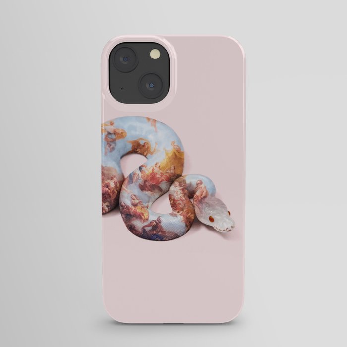 SNAKE PAINT iPhone Case