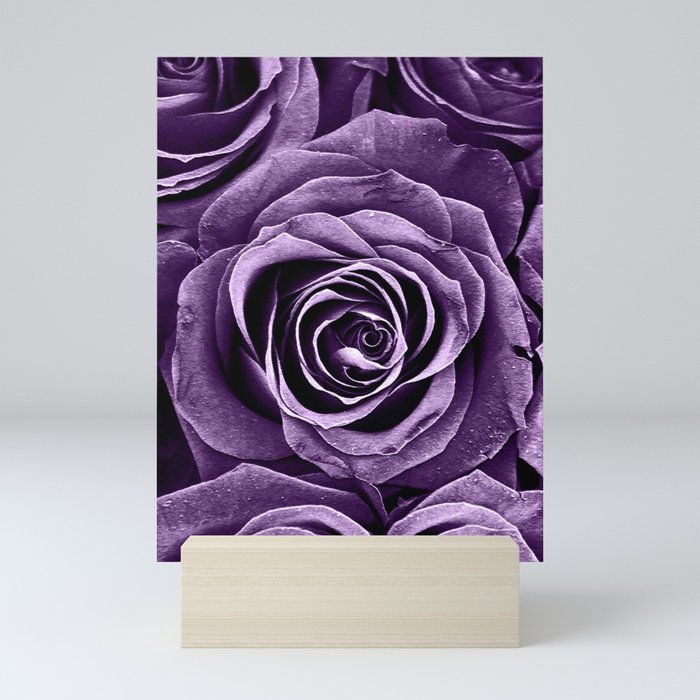 Rose Bouquet in Purple Mini Art Print