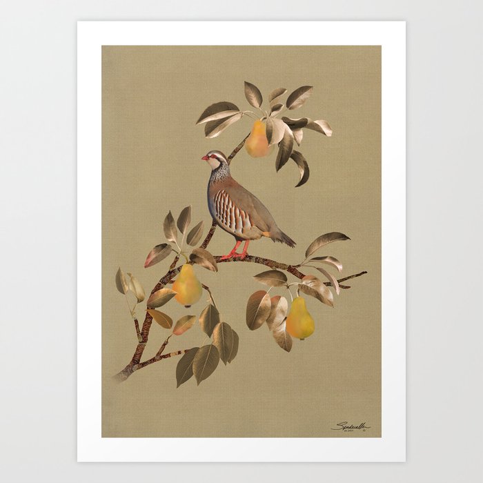 Partridge in Pear Tree Art Print
