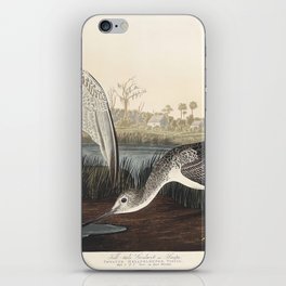 Tell-tale Godwit or Snipe from Birds of America (1827) by John James Audubon  iPhone Skin