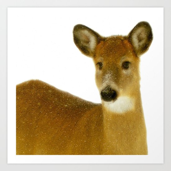 Winter White Art Print