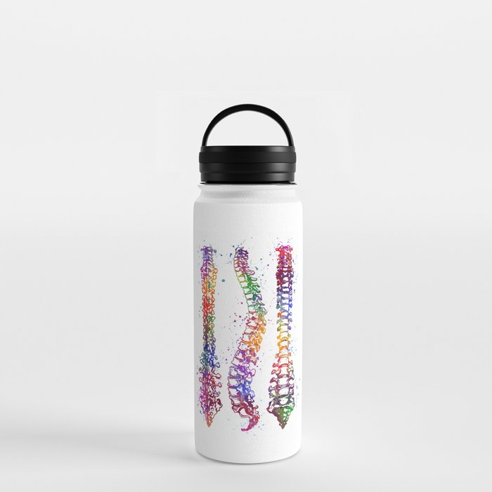 https://ctl.s6img.com/society6/img/4xehlaVyYdllqv_oGs3Ydcmi5xw/w_700/water-bottles/18oz/handle-lid/front/~artwork,fw_3390,fh_2230,fx_981,fy_134,iw_1426,ih_1966/s6-original-art-uploads/society6/uploads/misc/50e2e24173b84583b8fa66ccd4c2563a/~~/spine-art-watercolor-art-anatomy-medical-gift-anatomical-decor-chiropractor-gift-water-bottles.jpg
