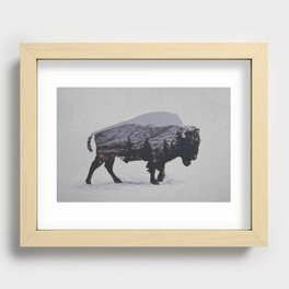 The American Bison Recessed Framed Print