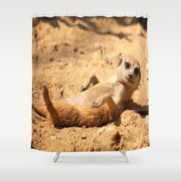 Meerkat Suricat suricatta Sunbathing #decor #society6 #buyart Shower Curtain