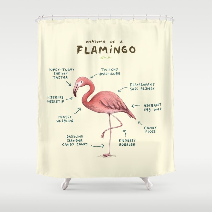 Anatomy of a Flamingo Shower Curtain