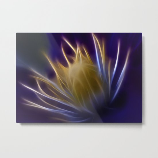 Clematis Metal Print
