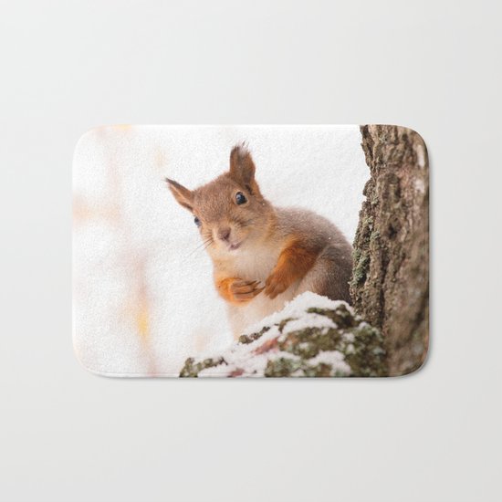 Squirrel in first snow Bath Mat