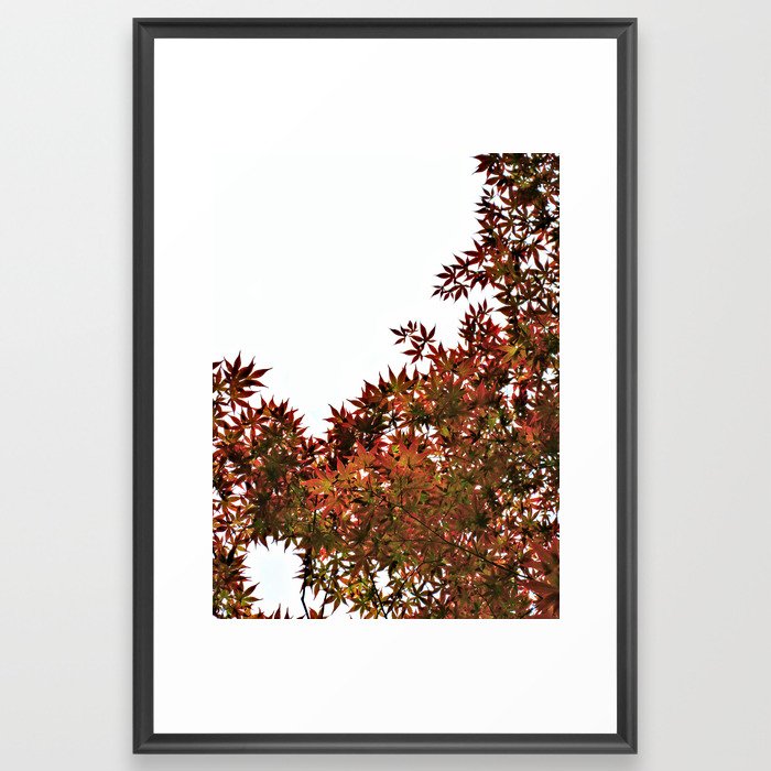 Changing of Seasons Framed Art Print