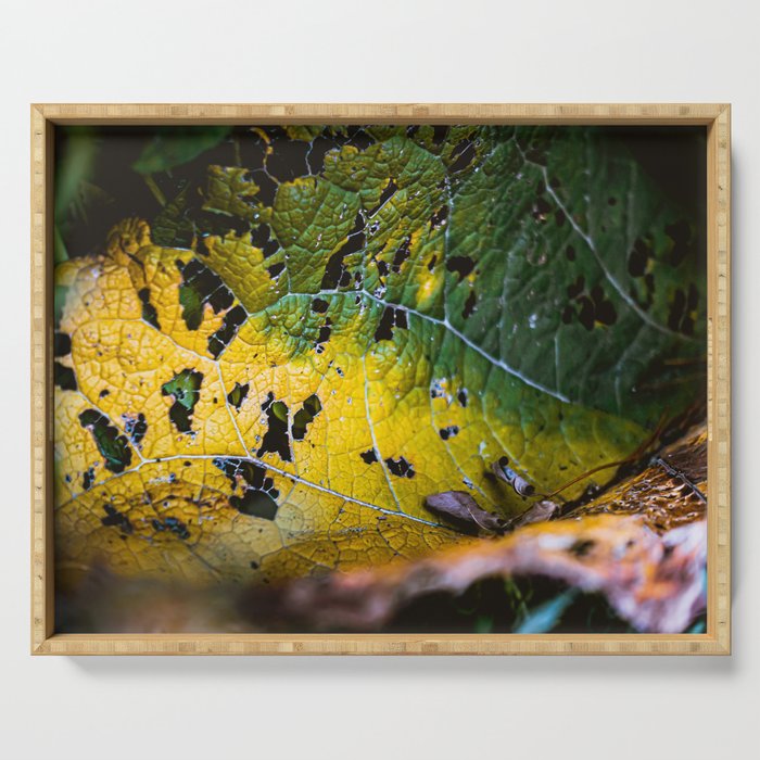 Green Leaf Consumption. Nature Photography Serving Tray