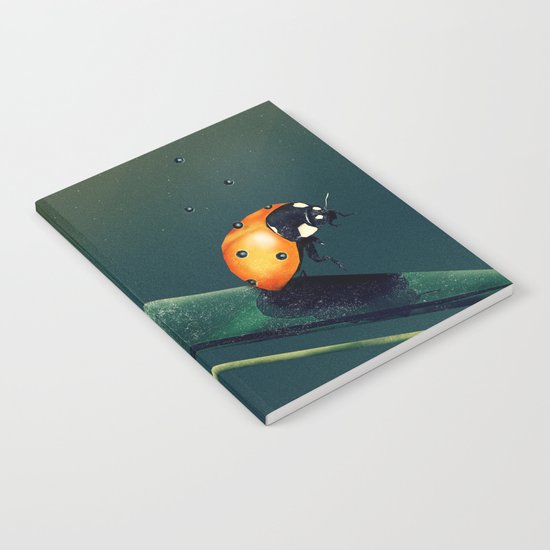 Oh, Bugger... Notebook