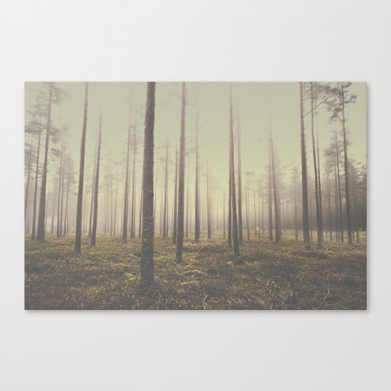 The day we lost Canvas Print
