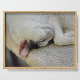 Cute Kitty Snoozes Softly Serving Tray