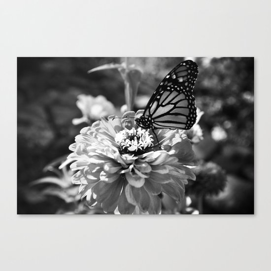 Butterfly on Flower Canvas Print