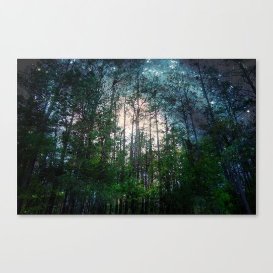 Mystic Forest Canvas Print
