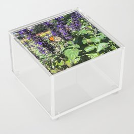 the Butterfly and Bee Acrylic Box