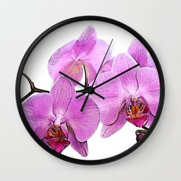 orchid flower minimalist minimal Wall Clock | Watercolor, Flowershow, Decorartwork, Floral Pattern, Rose, Flowermarket, Branch, Plant, Painting, Nature 