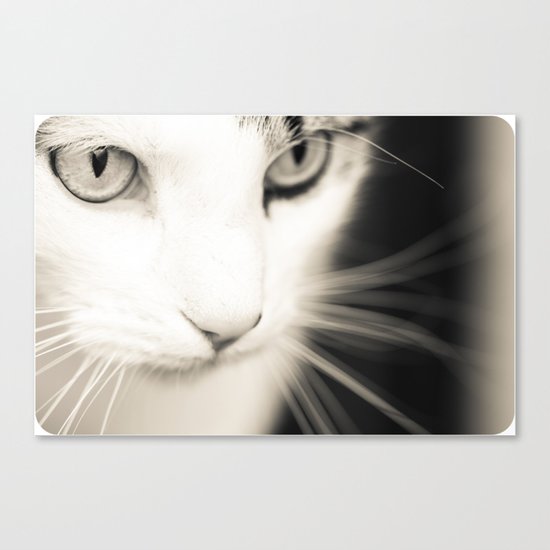 Kisa Canvas Print