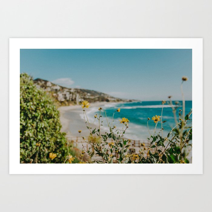 Laguna Beach and Yellow Flowers Art Print