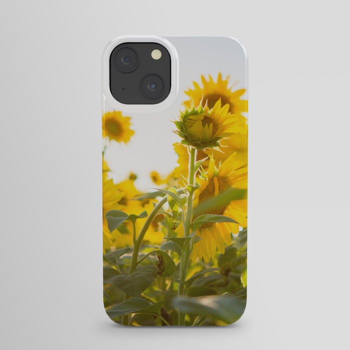 Sunflower Field iPhone Case