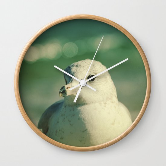 Seagull Close Up Wall Clock