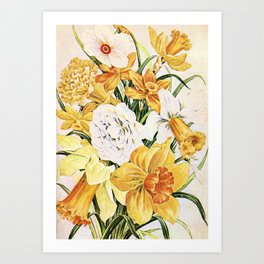 Wordsworth  and the daffodils. Art Print