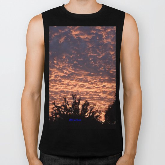 Atmospherics Number 2: Sunset from Costco San Dimas Biker Tank