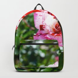 Rose Red Flower Garden Backpack | Symbollove, Green, Love, Rose, Aroma, Photo, Leaf, Flower, Beautiful, Plant 