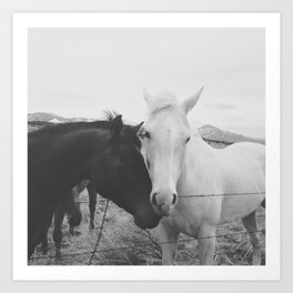 Prints By Kevin Russ Society6