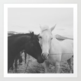 Horse Pair Art Print