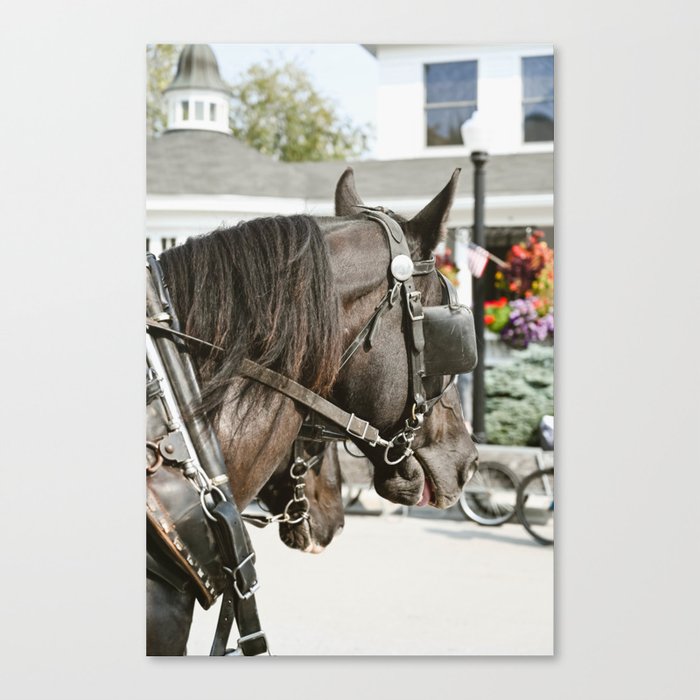 Island Ride- Horses Mackinac Island print│Horses photography fine art print Canvas Print