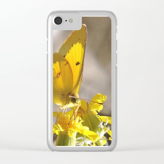Sulphur Butterfly Imbibing Clear iPhone Case