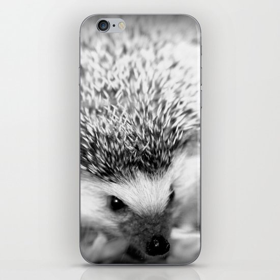 hedgehog iPhone Skin
