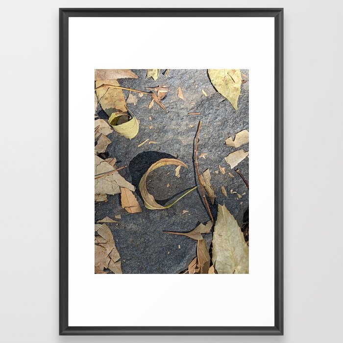 Autumn dry leaves  Framed Art Print