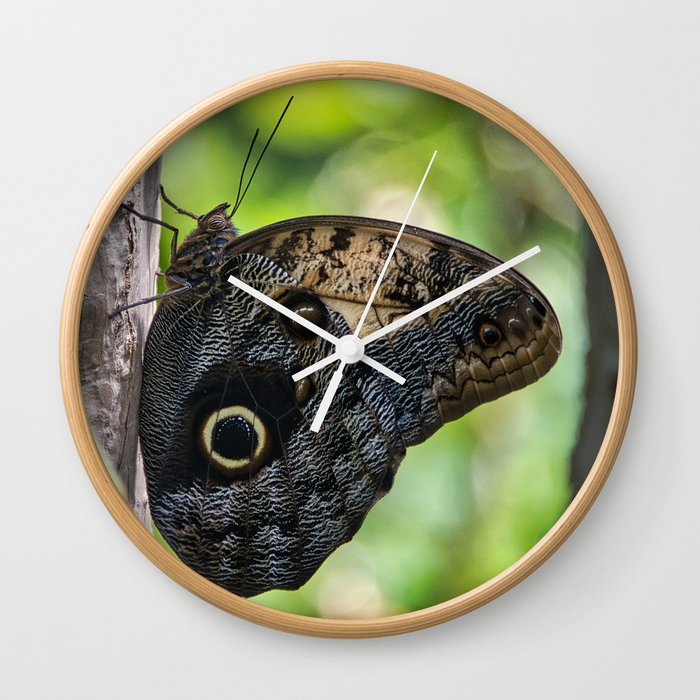Blue Morpho Butterfly 3 Wall Clock