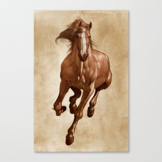 Sherman Canvas Print