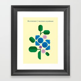 Fruit: Blueberry Framed Art Print