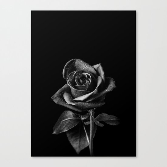 Black Roses Canvas Print