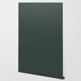 Dark Gray Solid Color Pairs Pantone Sycamore 19-5917 TCX Shades of Blue-green Hues Wallpaper