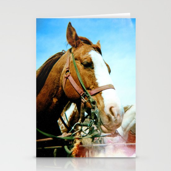 horses Stationery Cards