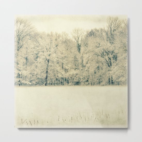 winter day Metal Print