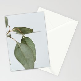 Seeded Eucalyptus | 1 Stationery Cards