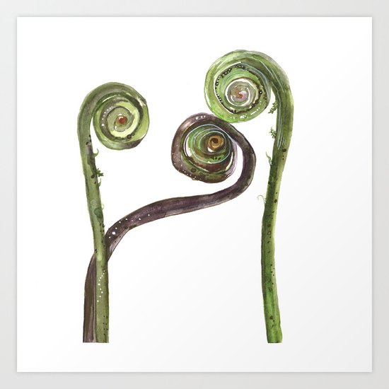 Etched Into Nature No.2 Forest Fiddlehead Ferns Art Print