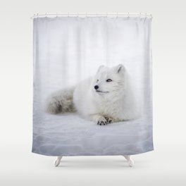 White snow arctic fox Shower Curtain