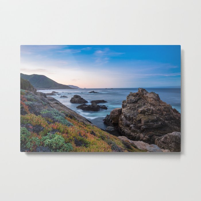 Coastline - Colorful Succulents at Sunrise in Big Sur California Metal Print
