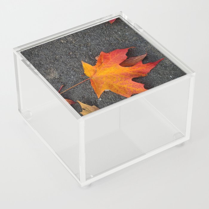 Ombre Fall leaves  Acrylic Box