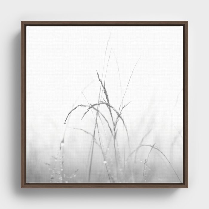 Long Grass Framed Canvas