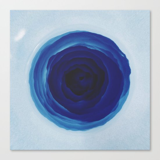 Blue rose Canvas Print