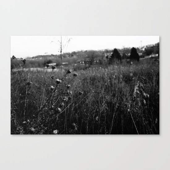 The Maxwell Canvas Print