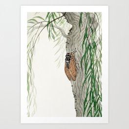 Cicada on a weeping willow tree - Japanese vintage woodblock print Art Print