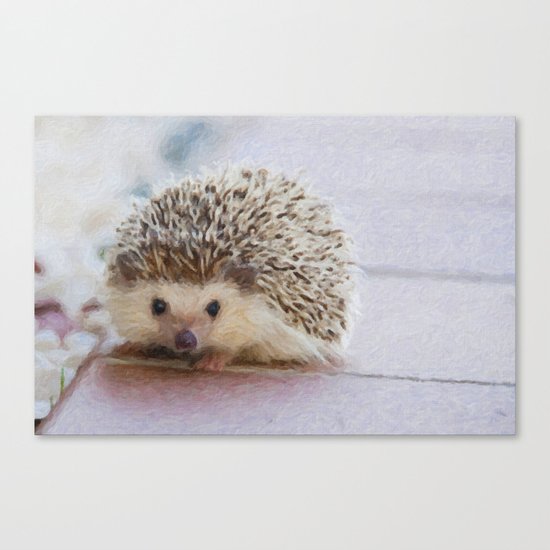 hedgehog Canvas Print